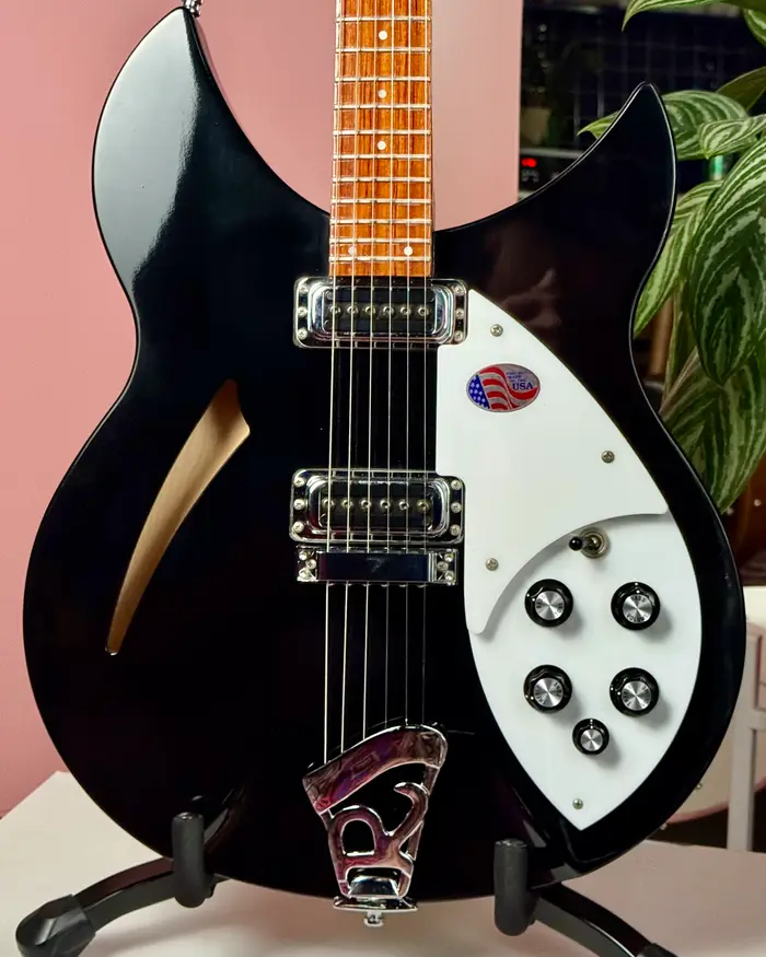 Rickenbacker 330