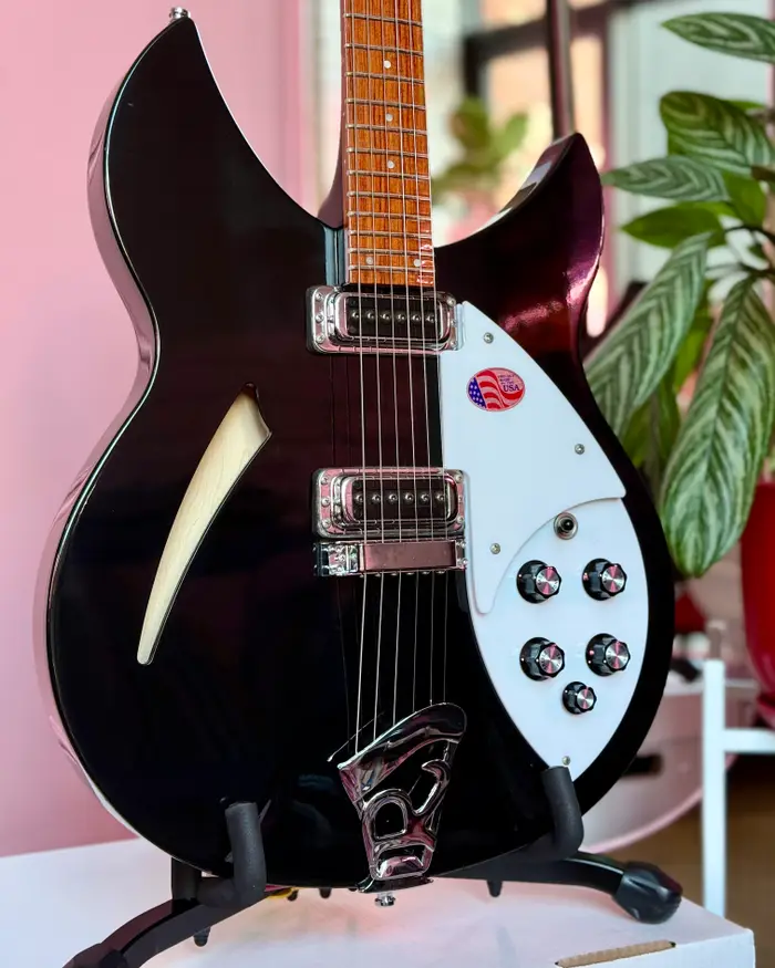 Rickenbacker 330