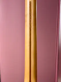 Fender American Professional II Telecaster 2020 Butterscotch Blonde, электрогитара, фото 13