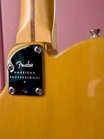 Fender American Professional II Telecaster 2020 Butterscotch Blonde, электрогитара, фото 14