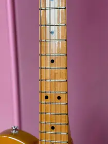 Fender American Professional II Telecaster 2020 Butterscotch Blonde, электрогитара, фото 5