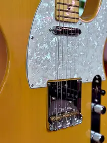 Fender American Professional II Telecaster 2020 Butterscotch Blonde, электрогитара, фото 10