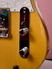 Fender American Professional II Telecaster 2020 Butterscotch Blonde, электрогитара, фото 7