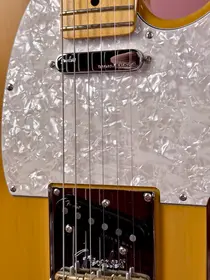 Fender American Professional II Telecaster 2020 Butterscotch Blonde, электрогитара, фото 9